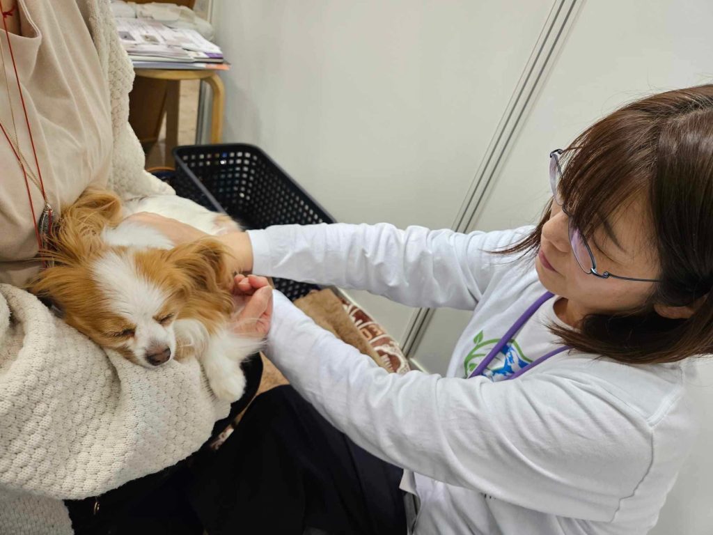 アニマルレイキを学ぶ