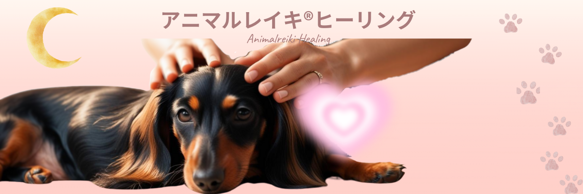 アニマルレイキヒーリング