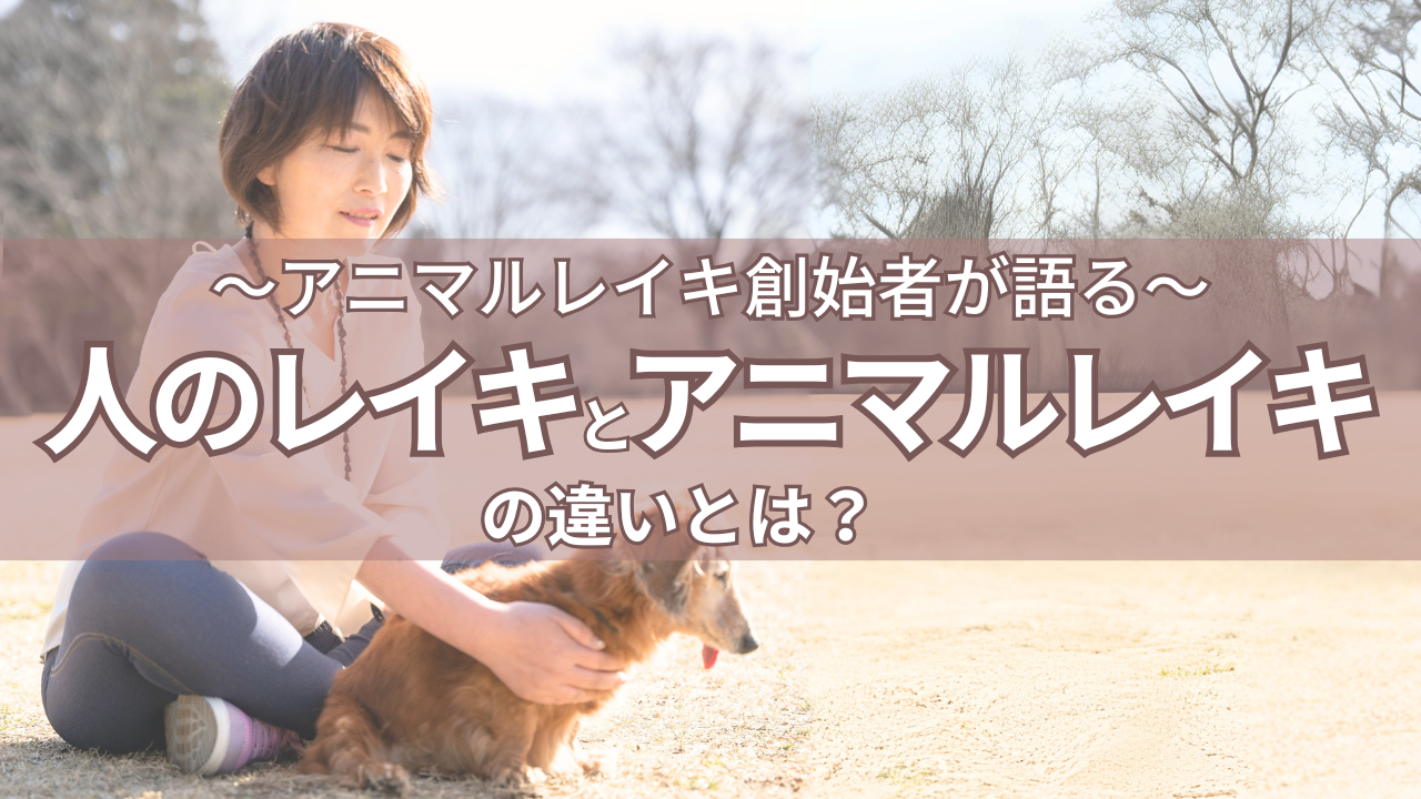 レイキとアニマルレイキの違い